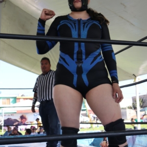 Una Linda Luchadora en El Ring