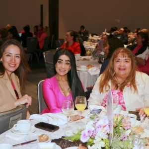 Amigas de Amexme (1)
