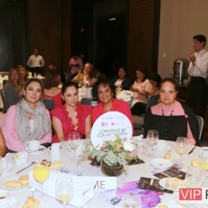 Amigas de CCME