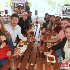 Seguridad Pasiva