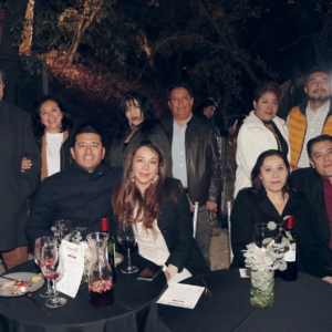 Amigos de la CFE