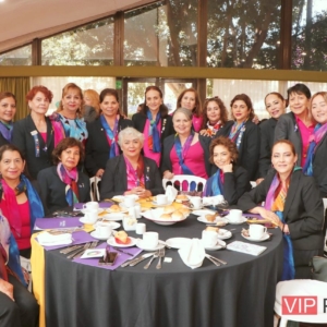 Amigas Rotarias de Diferentes Clubes Compartiendo