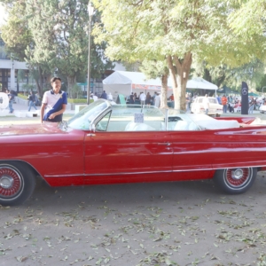 Los Preciados Modelos Antiguos (2)