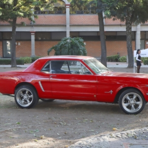 Los Preciados Modelos Antiguos (3)